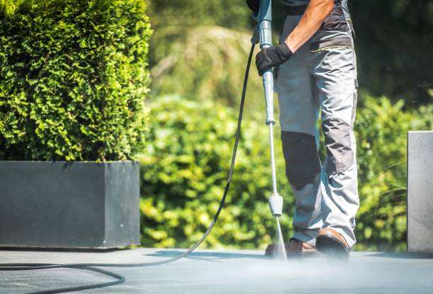 Best Fence Cleaning  in Three Rivers, CA