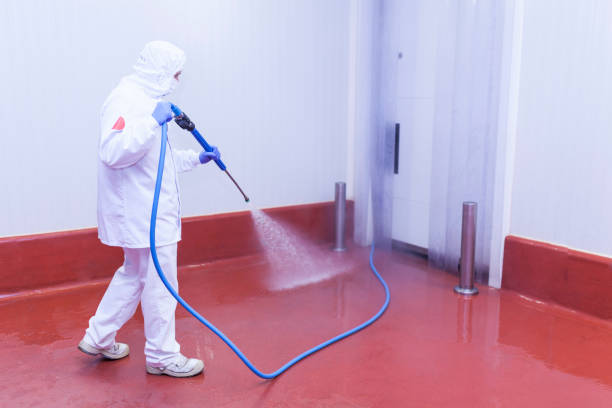 Spring Cleaning in Three Rivers, CA