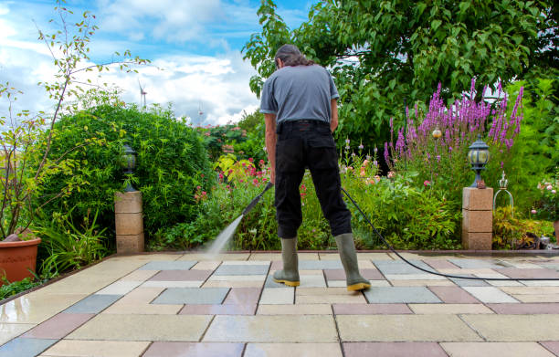 Professional Pressure Washing Services in Three Rivers, CA