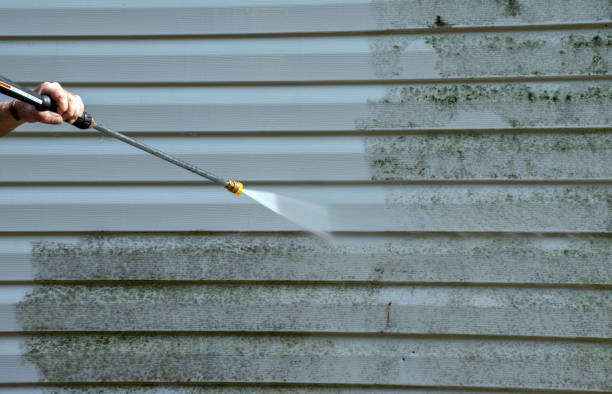 Best Building Exterior Washing  in Three Rivers, CA